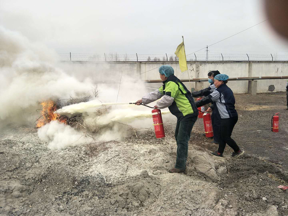 “普及消防知識，提高應(yīng)急能力” ——花生公司開展消防演練培訓(xùn)活動(圖2)