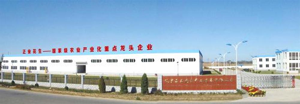 遼寧正業(yè)花生產(chǎn)業(yè)：共抗疫情，龍頭企業(yè)顯擔(dān)當(dāng)！(圖1)