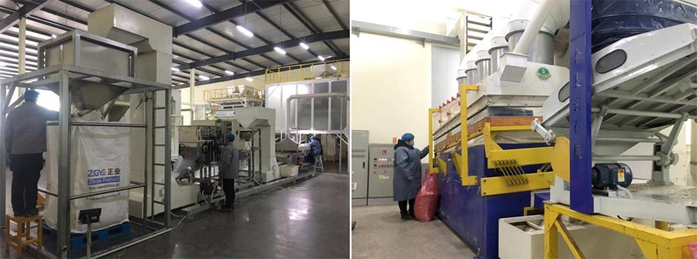 遼寧正業(yè)花生產(chǎn)業(yè)：共抗疫情，龍頭企業(yè)顯擔(dān)當(dāng)！(圖5)