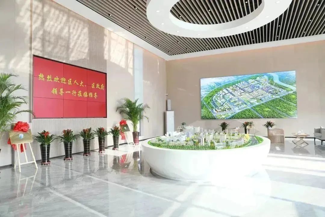 龍港區(qū)人大、區(qū)政府領(lǐng)導一行視察調(diào)研龍港國際醫(yī)療健康產(chǎn)業(yè)園(圖2)