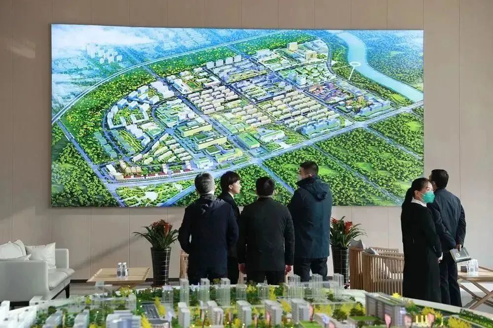 龍港區(qū)人大、區(qū)政府領(lǐng)導一行視察調(diào)研龍港國際醫(yī)療健康產(chǎn)業(yè)園(圖8)