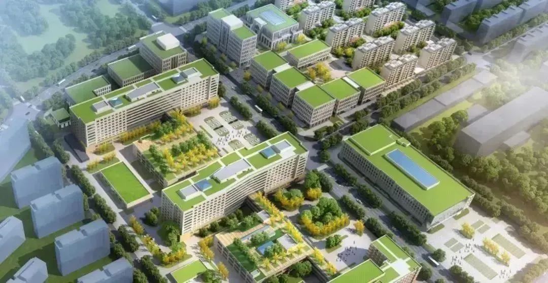 龍港區(qū)人大、區(qū)政府領(lǐng)導一行視察調(diào)研龍港國際醫(yī)療健康產(chǎn)業(yè)園(圖23)