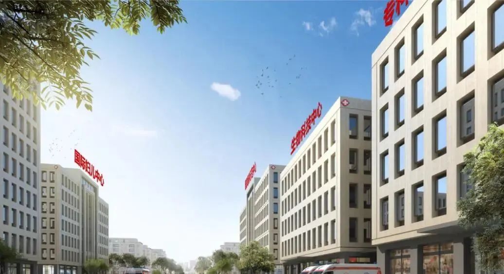 龍港區(qū)人大、區(qū)政府領(lǐng)導一行視察調(diào)研龍港國際醫(yī)療健康產(chǎn)業(yè)園(圖24)